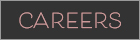 Careers Button
