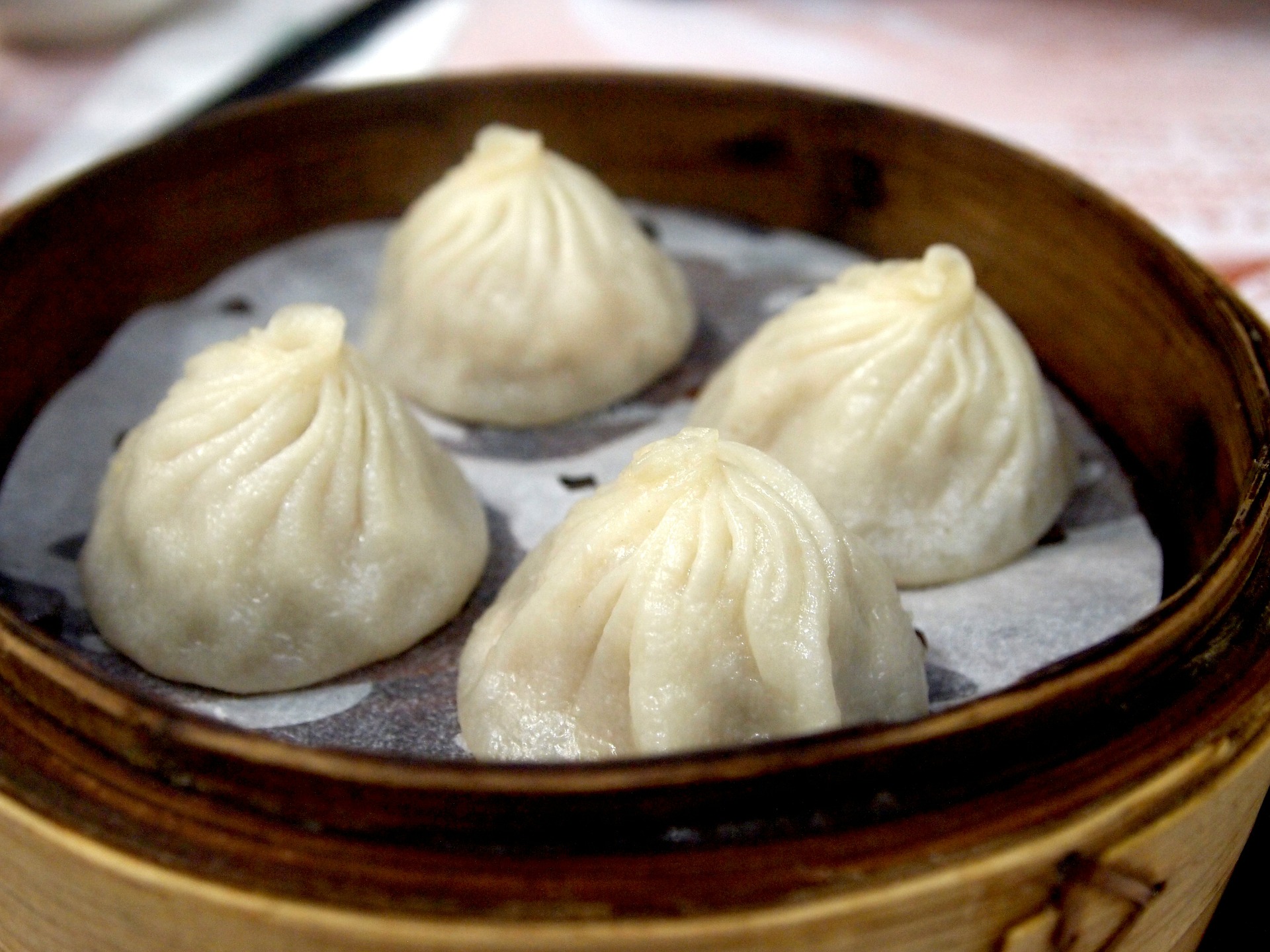 Pork Dumplings