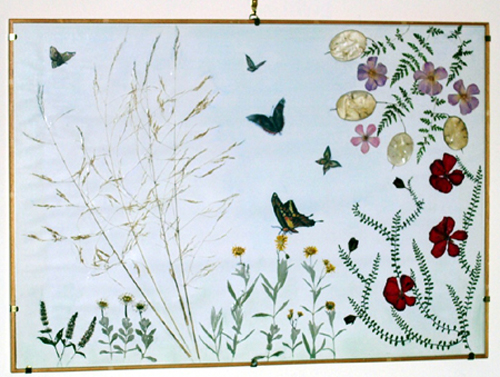 Fiori secchi, farfalle finte