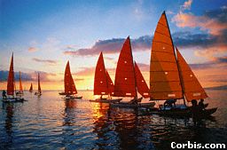 Sailboats