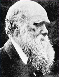 Os estudos de Charles Darwin deixaram at&eacute; hoje a Humanidade desnorteada