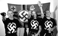 Movimento neo-Nazi no norte da Europa