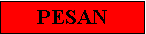 Text Box: PESAN