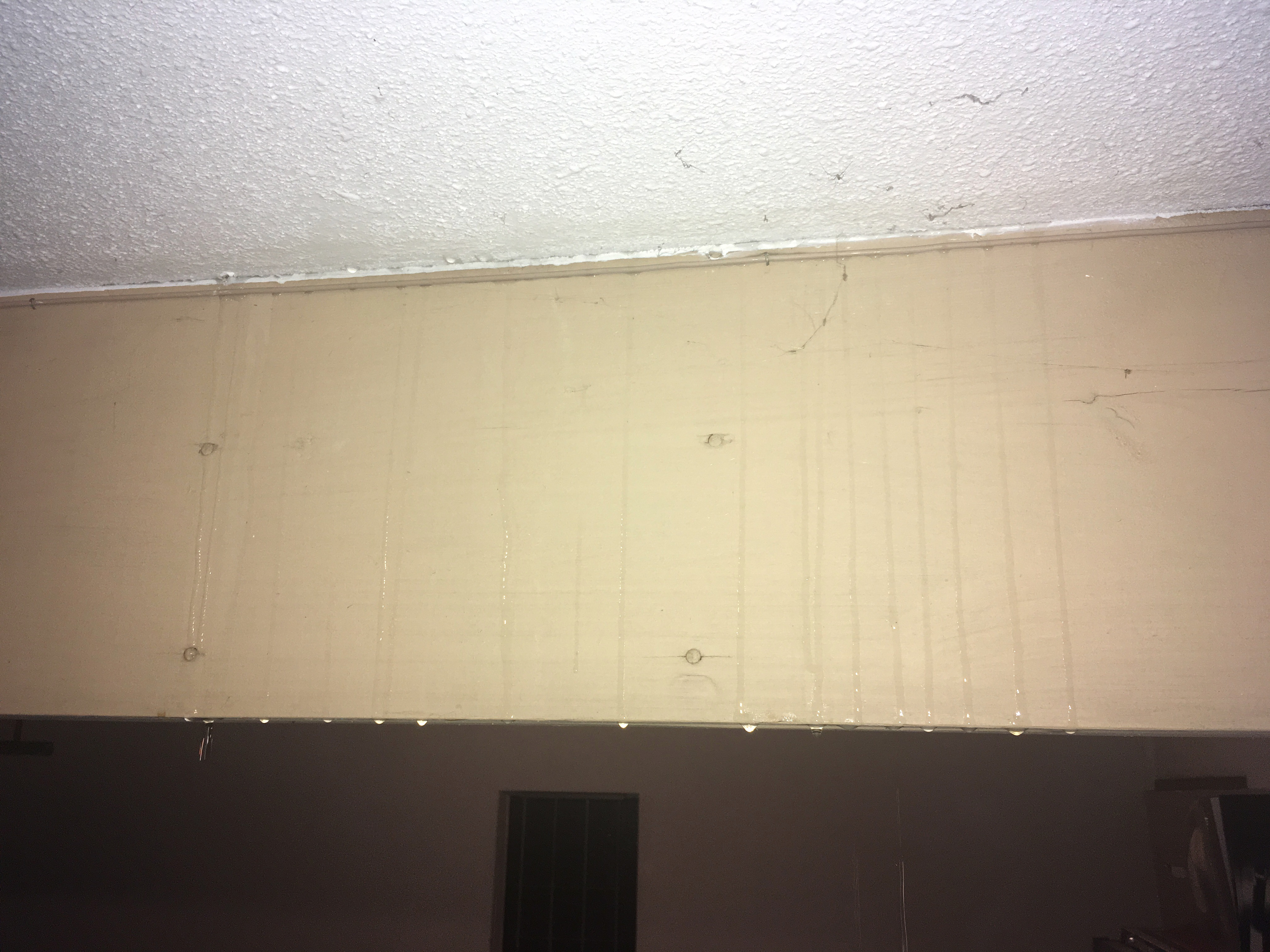 curtis basement leak 2