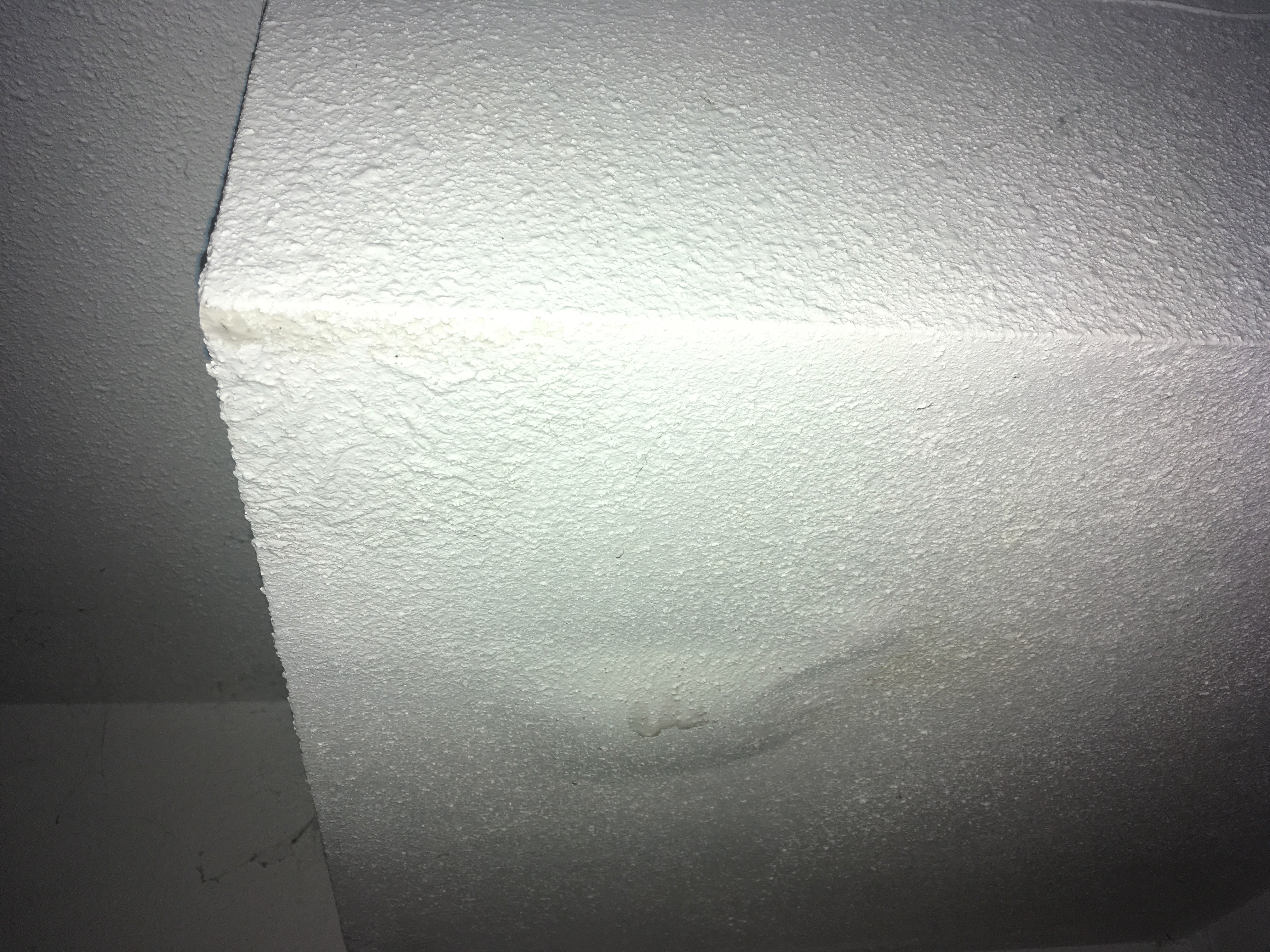 curtis basement leak 1