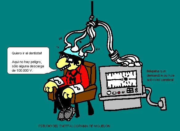 Miguel�n estudiado por la ciencia
