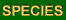 Species Seen