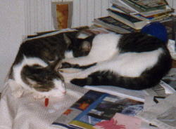 Hilde & Matz