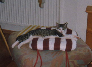 Hilde