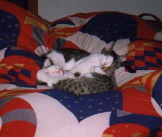 Hilde & Matz
