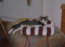 Hilde