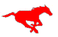 Stampeders.com, official home of the Calgary Stampeders football club