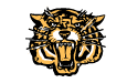 Tiger Cats