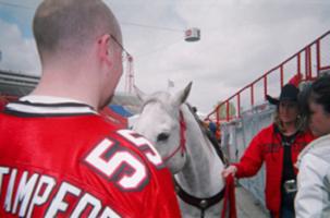 The Silver Stampeder meets Quick Six, the touchdown horse!