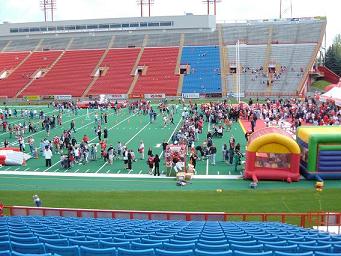 The view from the not-so-cheap seats