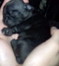 Just over two weeks old!