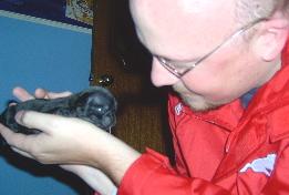 Little Guinness meets her new crazy owner!
