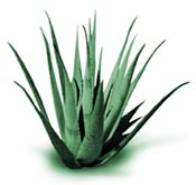 V�deo Da Ind�stria Do Aloe