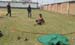 20160326_095405