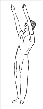 Sauda��o ou C�pula Magn�tica