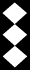 Cadet Colonel