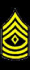 Cadet First Sergeant