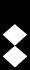 Cadet Lieutenant Colonel