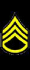 Cadet Staff Sergeant