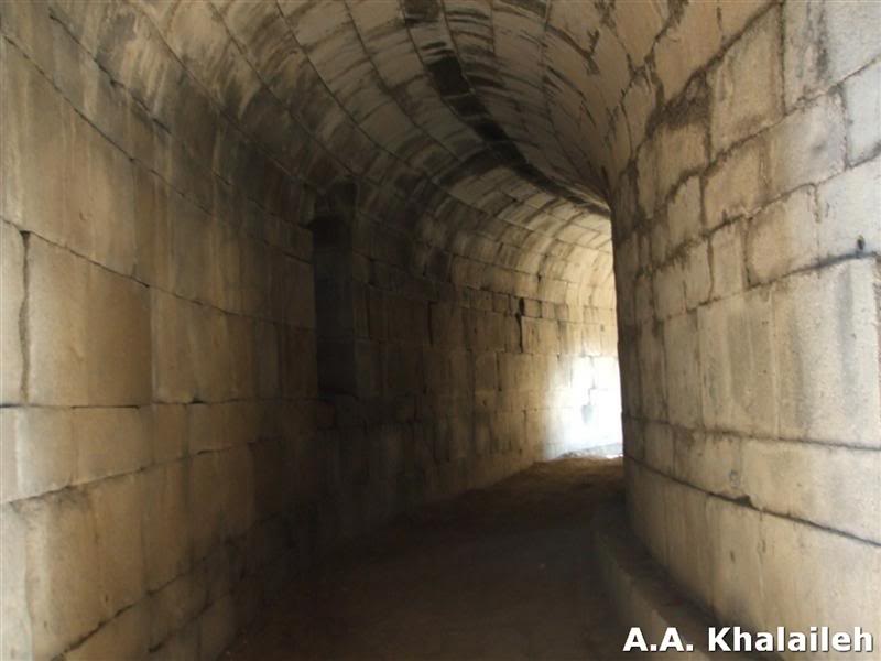 ععع