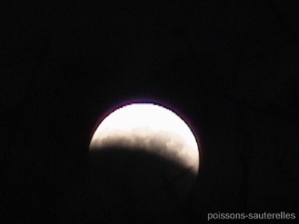 demie lune