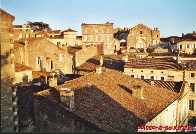 St-�milion vue de haut