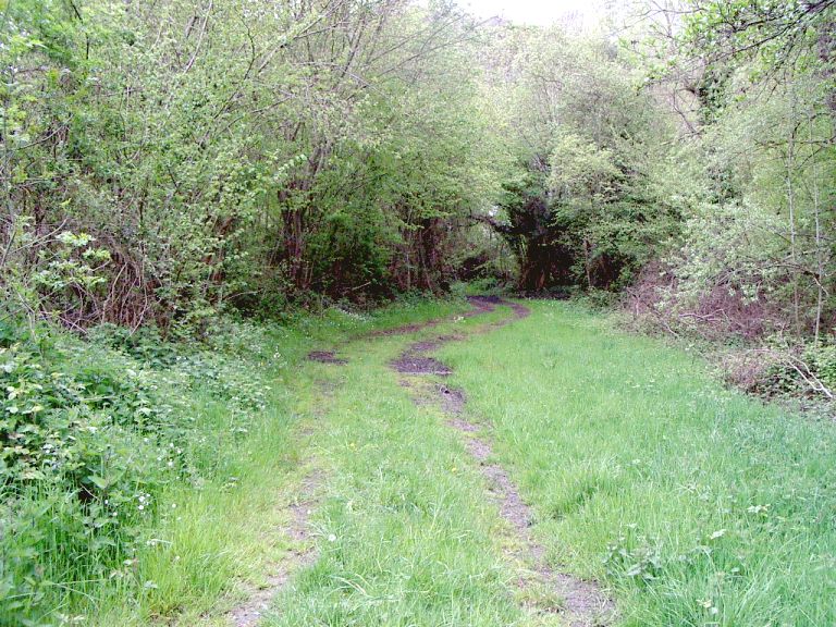 une ballade dans un sous bois de montagne un jour gris