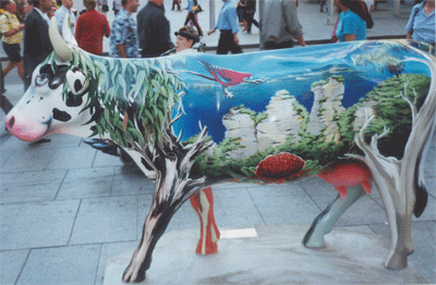 cows