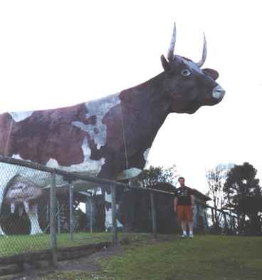 MOO