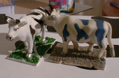 cows