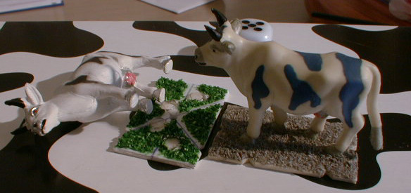 cows