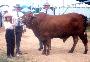 CowGirl with Mr Bull
