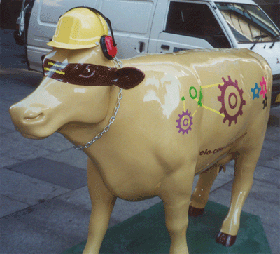 cows