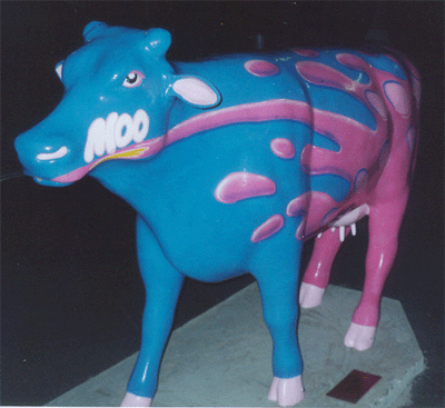 cows