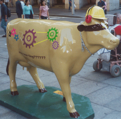 cows