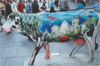 cows