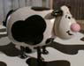 cows