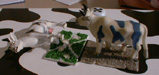 cows