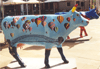 cows