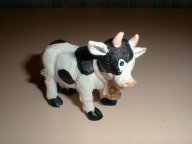 cows