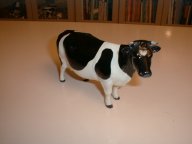 cows