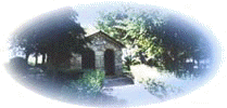 f. corti�o
