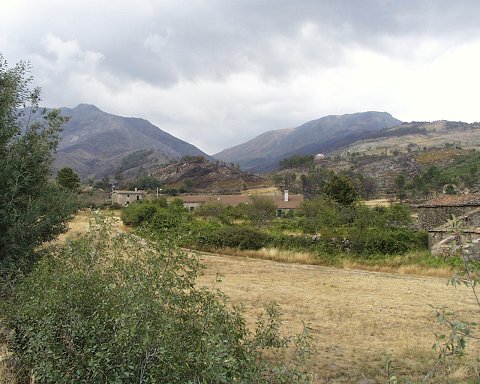 termasold (15)
