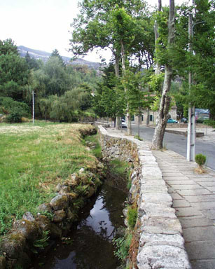 termasold (2)