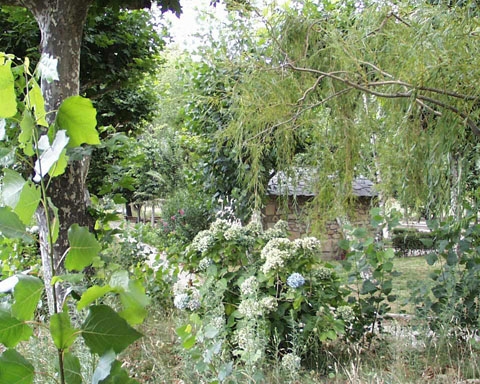 termasold (7)